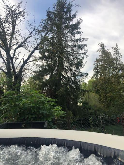 Charmant Gite En Perigord Vert Douchapt المظهر الخارجي الصورة